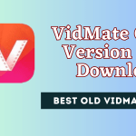 VidMate 13 mb