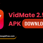 Old VidMate 2.5 APK Download